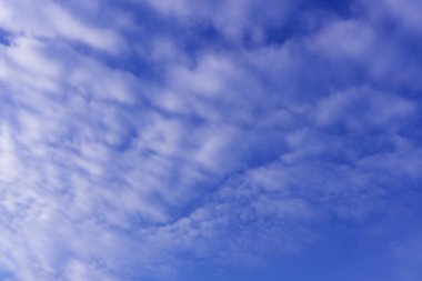 yumuşak kavramı çevre taze rahatla bulutlu gökyüzü