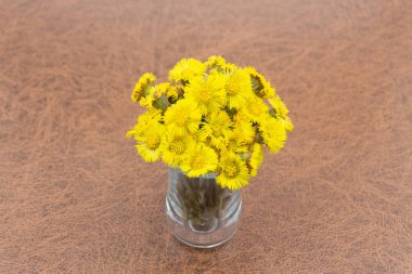 Anası bir üvey anne yeşil bir arka plan üzerinde bir vazoda sarı çiçekler bahar buket