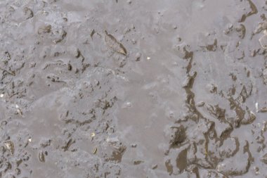 Arka plan veya doku kırsal Devon İngiltere'den bir çiftlikte kahverengi toprak