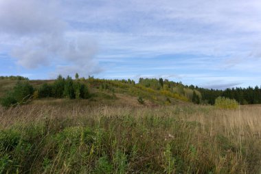 dağ çayır Karpatlar yol Vadisi etkin