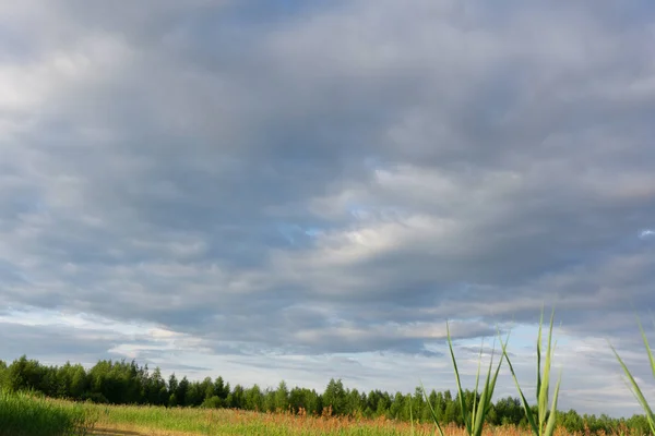 Błękitne Niebo Nad Zielona Trawa Polu — Zdjęcie stockowe