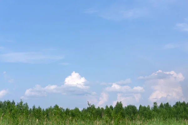 Pokryte Śniegiem Szczyt Mount Rainier Wzrośnie Powyżej Trawiasta Łąka Zboczu — Zdjęcie stockowe