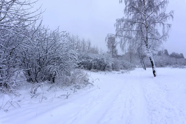 Russian Winter Freshness Frosty Icy Nizhny Novgorod — Stock Photo, Image