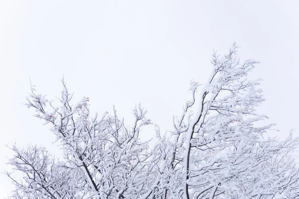 Inverno Conto Sleet Faixas Viagem Maneira Xmas Dia — Fotografia de Stock