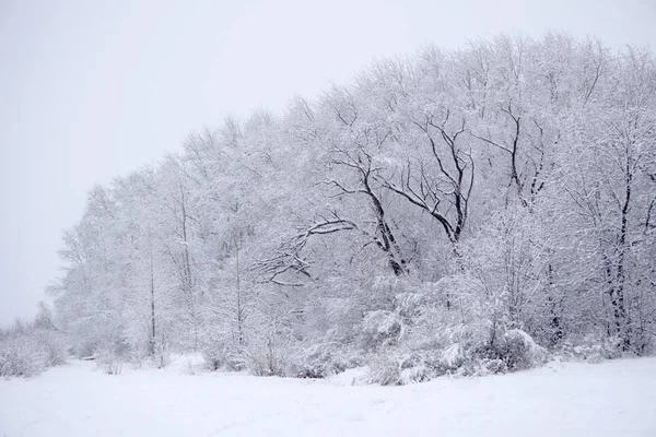 Winter snow forest road turn landscape. Snow winter forest road turn view. Winter forest snow road scene .