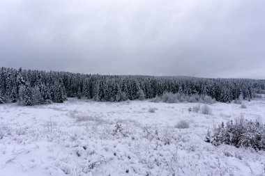 gün batımı ile güzel kış manzara orman .