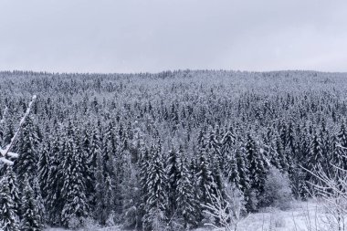 Dağlar şube soğuk serin gün kışın,