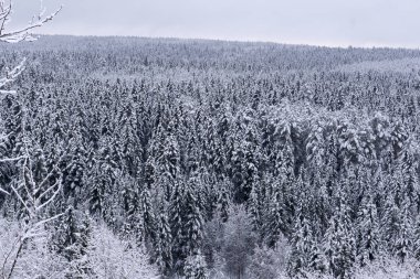 harika akşam kış manzarası. dramatik bulutlu gökyüzü. yaratıcı kolaj. Güzellik dünya.