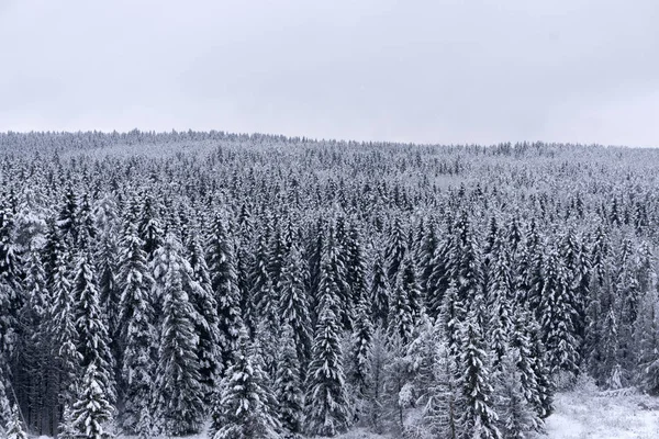 Vista Aérea Del Bosque Coníferas Las Montañas Invierno Nieve Fuerte —  Fotos de Stock