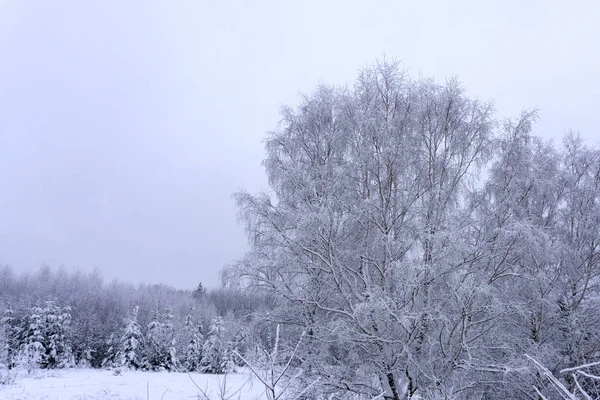 Pneus Voiture Sur Route Hiver Recouverts Neige — Photo