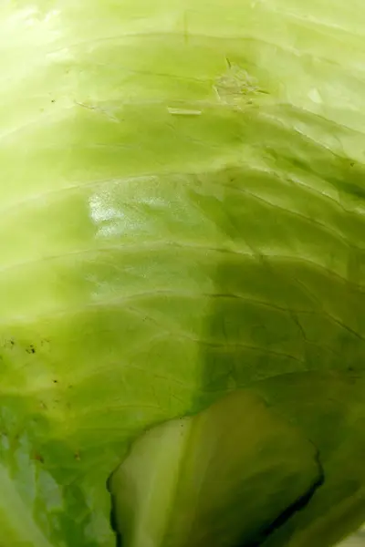 Col Verde Aislado Sobre Fondo Blanco Cocina Corte —  Fotos de Stock