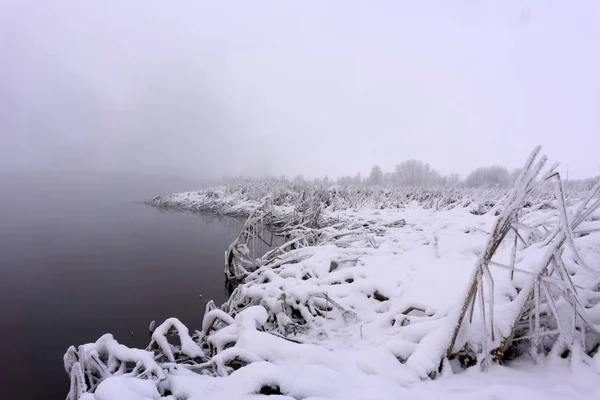 Rzeka Śniegu Lodu Lesie Zimą — Zdjęcie stockowe