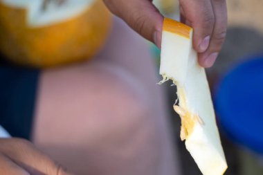 kavun kavun tek sebze su kavun beyaz yarım .