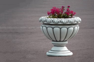 Bir şehir sokak Urban üzerinde marigolds ile kare taş urn