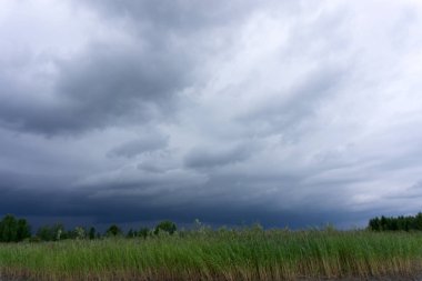 kasırgadan önce son sunbeam. doğal arka .
