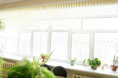 Şehir merkezinde bir çiçek dükkanının penceresi .