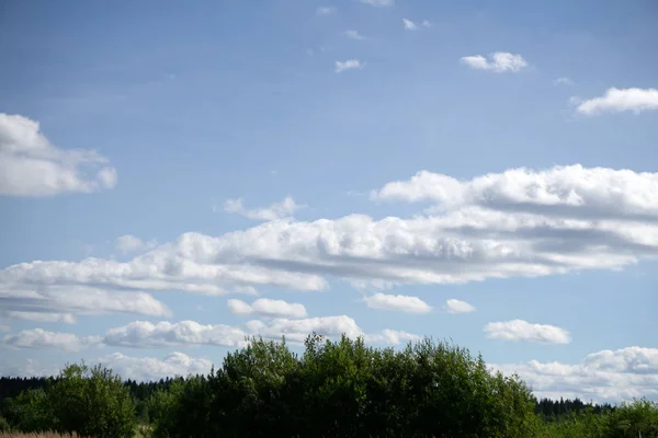 Eine flauschige Grasdecke im blauen Himmel über den Baumwipfeln . — Stockfoto