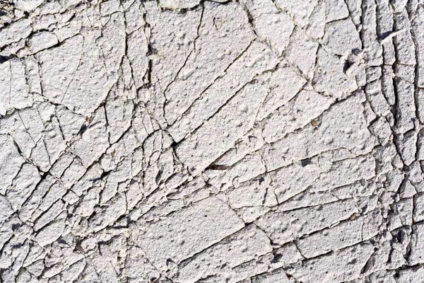 Cracked concrete texture background. Grey surface with cracks close up. A lot of pieces of splintered plaster. Abstract concept of split, dissent, disagreement, discord. Sunny day with . — Stock Photo, Image