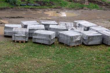 Scottsdale şehir merkezinde yiyecek arayan vahşi tavşan.