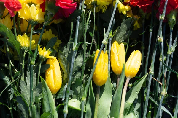 Bunch of vibrant flowers laying down near the eternal flame monument on military cemetery in honor of the day of victory in the world war two on the ninth of May each year in Vilnius .