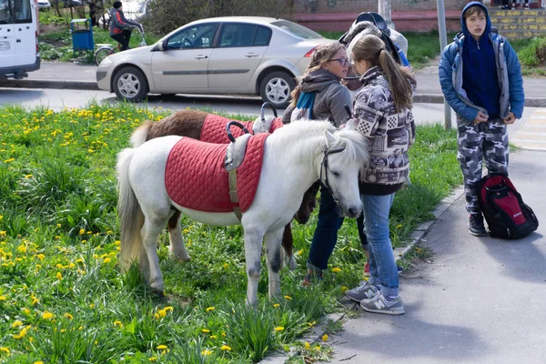 Діти верхи поні в горах Альп. Сім'я весняний відпочинок на конях ранчо в Австрії, Тіроль. Діти катаються на конях. Малюк піклується про тварин. Діти та ПЕТ-Березники 26 травня 2018 — стокове фото