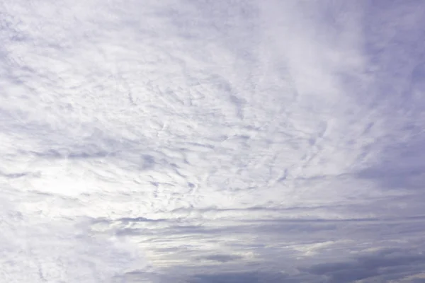 Concepto del día mundial del medio ambiente: fondo nublado blanco y cielo azul — Foto de Stock