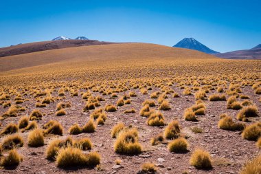 Şili, Valle de la Luna 'da harika bir manzara.