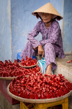 Hoi An, Vietnam / Vietnam - 27 Temmuz 2013: Hoi sokak bir piyasa satış eski Vietnam kadın