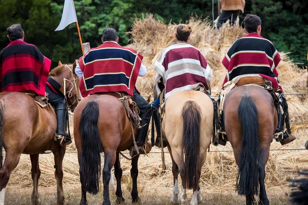 Gente chilena Stock Photos, Royalty Free Gente chilena Images