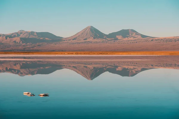 Amazing Mirror Reflection Water Big Volcano — Stock Photo, Image