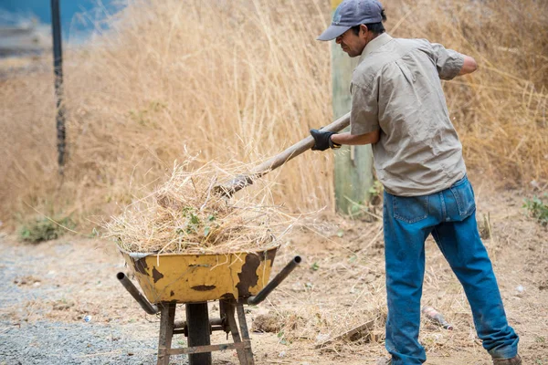 Pichilemu Περιοχή Sexta Χιλή Φεβρουαρίου 2018 Άνθρωπος Εργάζεται Στα Άχυρα Εικόνα Αρχείου