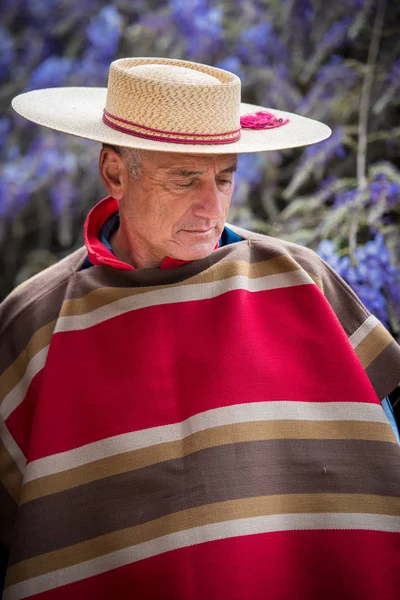 Bonito Maduro Homem Vestido Como Típico Chileno Huaso — Fotografia de Stock