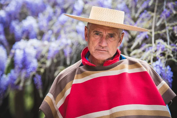 Tipik Şili Huasosu Gibi Giyinmiş Yakışıklı Olgun Bir Adam — Stok fotoğraf