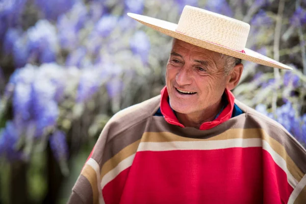 Tipik Şili Huasosu Gibi Giyinmiş Yakışıklı Olgun Bir Adam — Stok fotoğraf