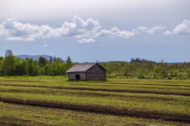 Lapland Finland, yaz gününde Kuzey lapland alan eski ahır