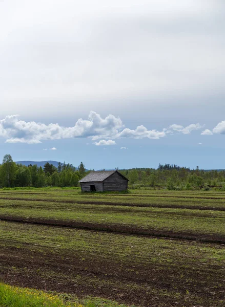 Lapland Finland Old Barn Field Northern Lapland Summer Day — Stock Photo, Image