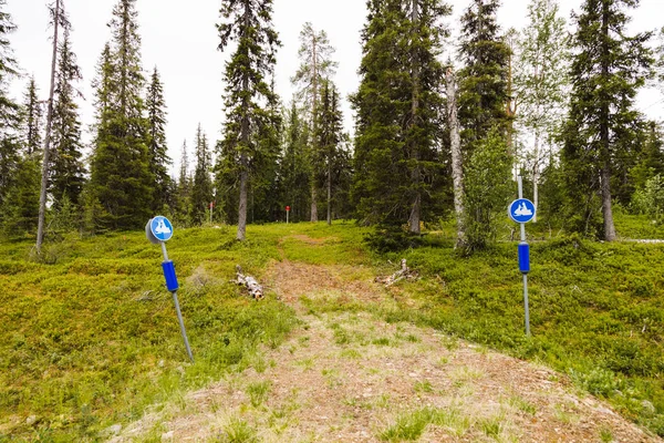 Luosto Φινλανδία Πινακίδα Σήμανσης Δρόμου Για Μηχανοκίνητα Έλκηθρα Μια Καλοκαιρινή — Φωτογραφία Αρχείου