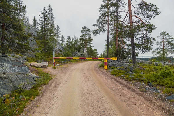 Luosto Φινλανδία Δρόμος Κλειστός Στο Δάσος Μια Κυκλοθυμική Ημέρα — Φωτογραφία Αρχείου
