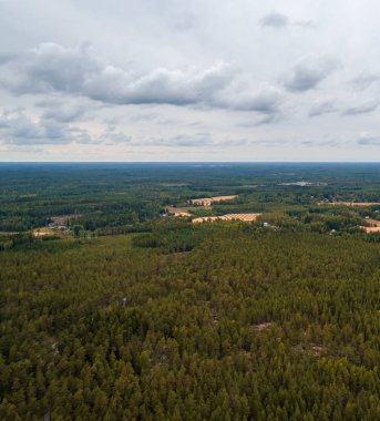 Tammisaari Finlandiya dışında orman yüksek irtifa hava görünümünden bir gün güneş olmadan