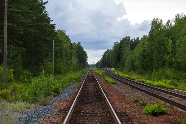 Finlandiya Hanko şehir önde gelen orman yoluyla çalışan boş paralel demiryolu parça