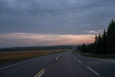 Foggy sonbahar sabahı Finlandiya de yol tarafında alanlarla