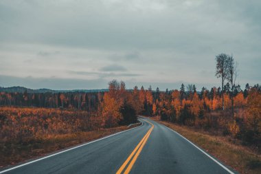 Huysuz bir akşamı Finlandiya'da sonbahar bir manzara ile sürüş