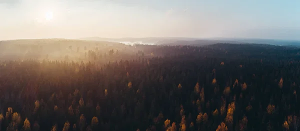 Gün batımında, Finlandiya hava sonbahar renkli ormandan Panorama görünümünü