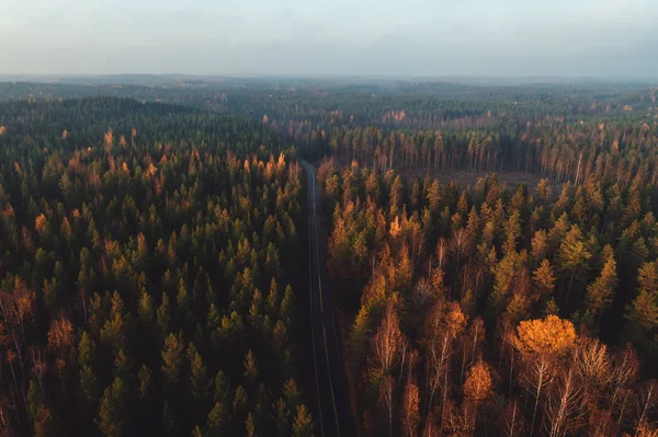 핀란드에 공기에서 좁은로 — 스톡 사진
