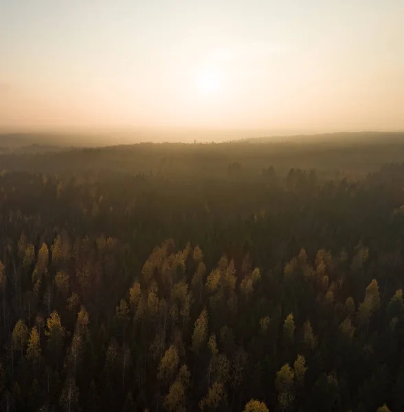 Θέα Του Δάσους Φθινοπώρου Χρωματισμένα Από Αέρα Στο Ηλιοβασίλεμα Φινλανδία — Φωτογραφία Αρχείου