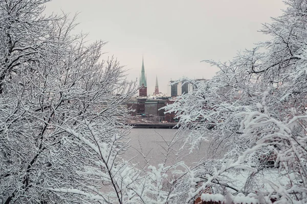 Стокгольм місто і дві церковний вежі видно через ліс по той бік, Швеція — стокове фото