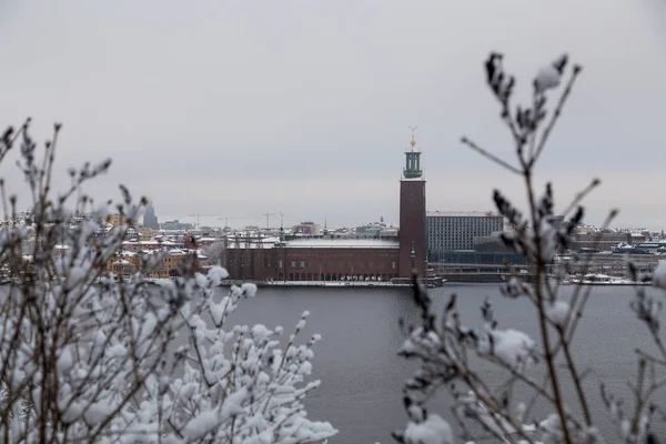 Vista da Câmara Municipal de Estocolmo do outro lado do rio Riddarfjarden, Suécia — Fotografia de Stock