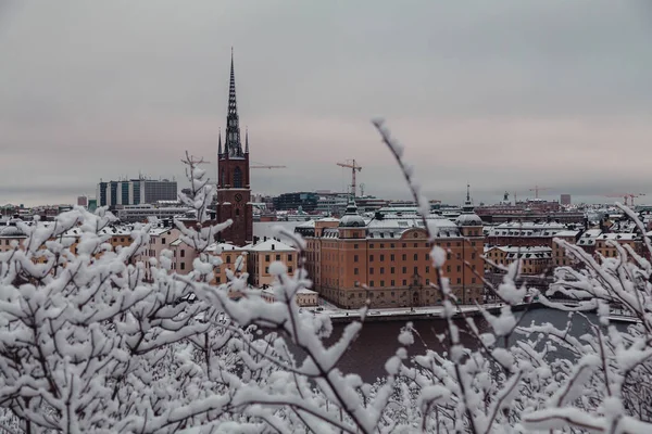 Riddarholmen ve kış, Stockholm İsveç eski kilisede ağaçların arkasında kentsel görünümü