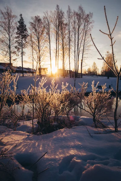 Mañana fría de invierno con el sol saliendo entre los árboles al otro lado del río, Finlandia — Foto de Stock