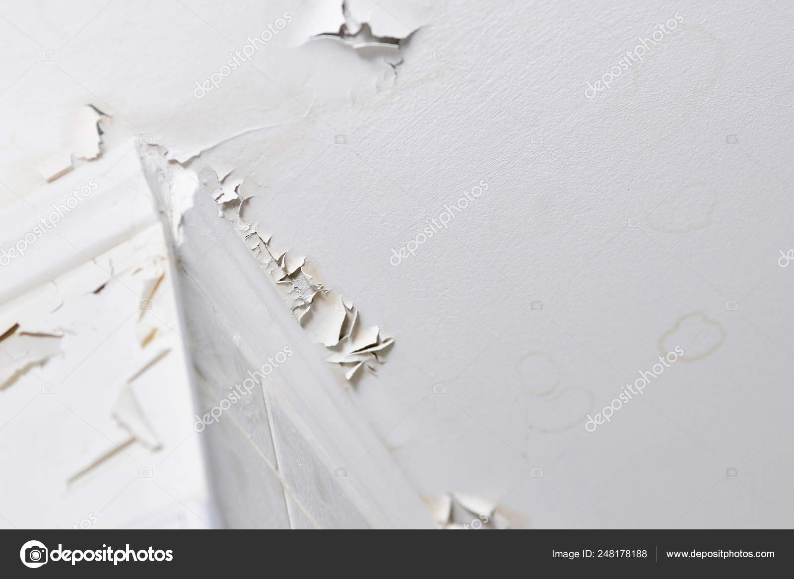 Leaking Of Whitewash And Plaster On Ceiling Of Dwelling Due To